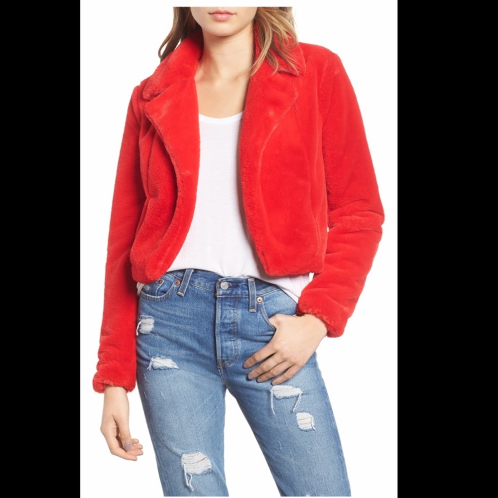 BlankNYC Crop Faux Fur Coat, XS (new with tags)